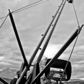 The New Face of Wildlife Filmmaking: a report from the 2011 Jackson Hole Wildlife Film Festival